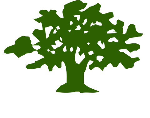 جامعة بيرزيت logo